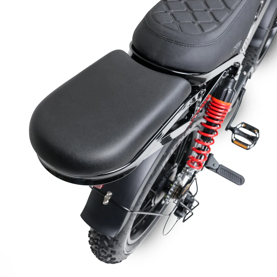 20 inch Elektrische Fatbike – Tweezitter, dikke sneeuwbanden, voor- & achtervering, 7SP