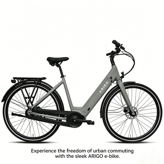 28" Women's Aluminum/Full Aluminum Front Fork, Hydraulic Disc Brake, Chain Drive, Bafang Mid-Motor Integrated Unit, External 7-Speed