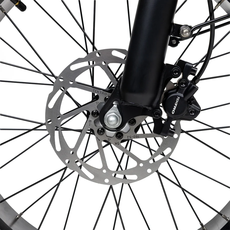 20 inch Elektrische Fatbike – Tweezitter, dikke sneeuwbanden, voor- & achtervering, 7SP