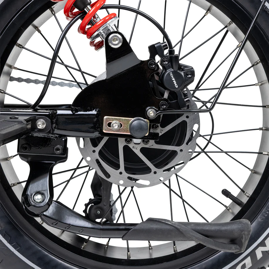 20 inch Elektrische Fatbike – Tweezitter, dikke sneeuwbanden, voor- & achtervering, 7SP