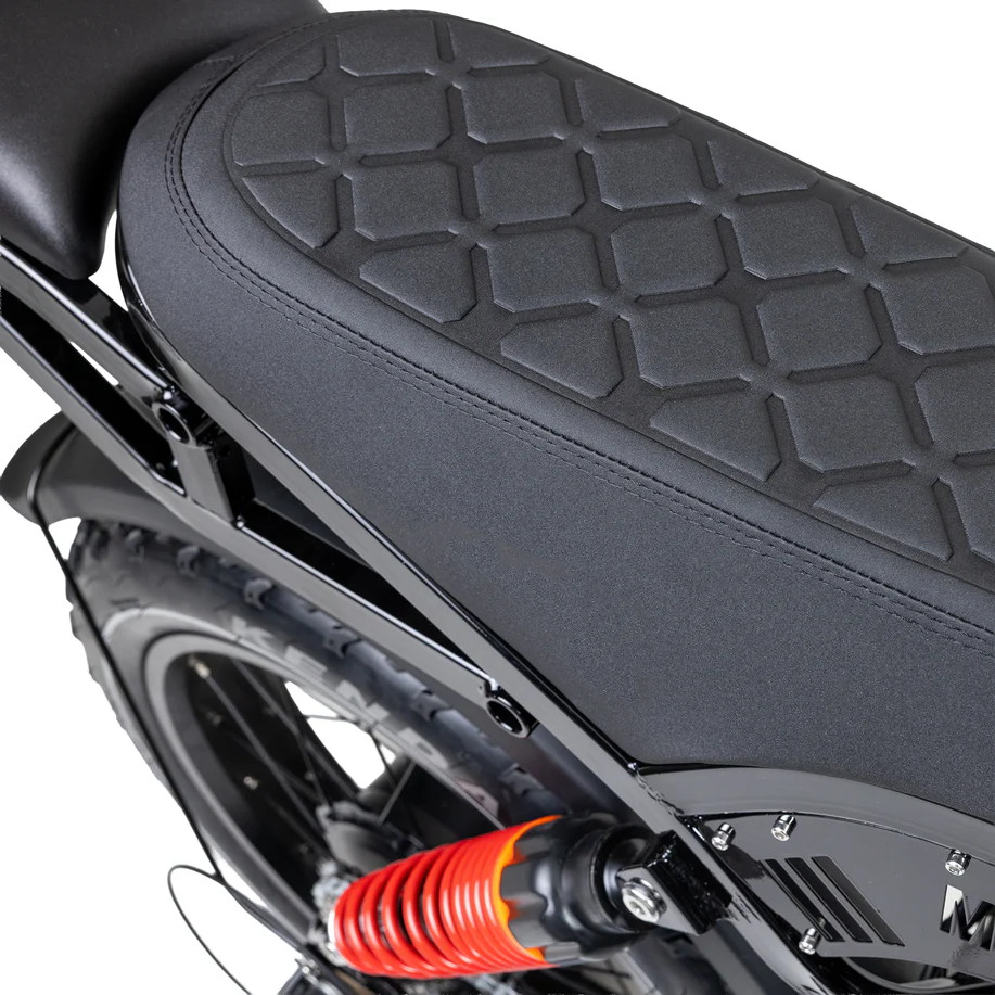 20 inch Elektrische Fatbike – Tweezitter, dikke sneeuwbanden, voor- & achtervering, 7SP